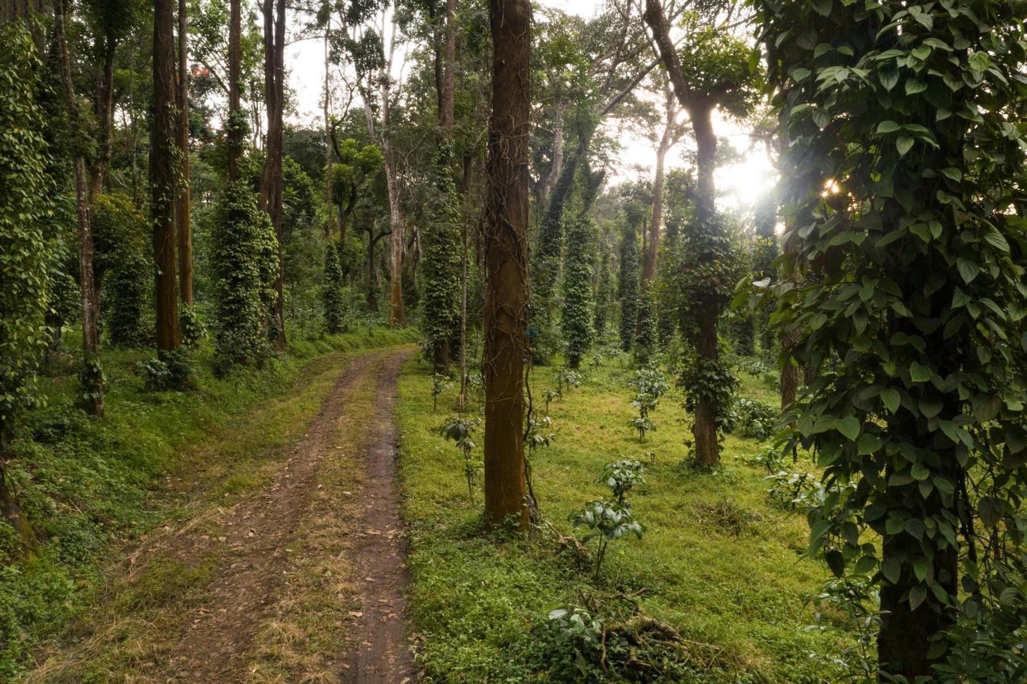 فندق Tusker Trail By Luxunlock Suntikoppa المظهر الخارجي الصورة